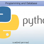 programming and database