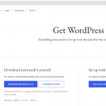 Programming Web Development  WordPress